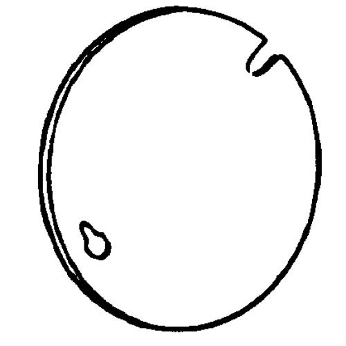 EGS 8403 4 IN OCT CVR BLANK FLAT CROSS TO RAC 722