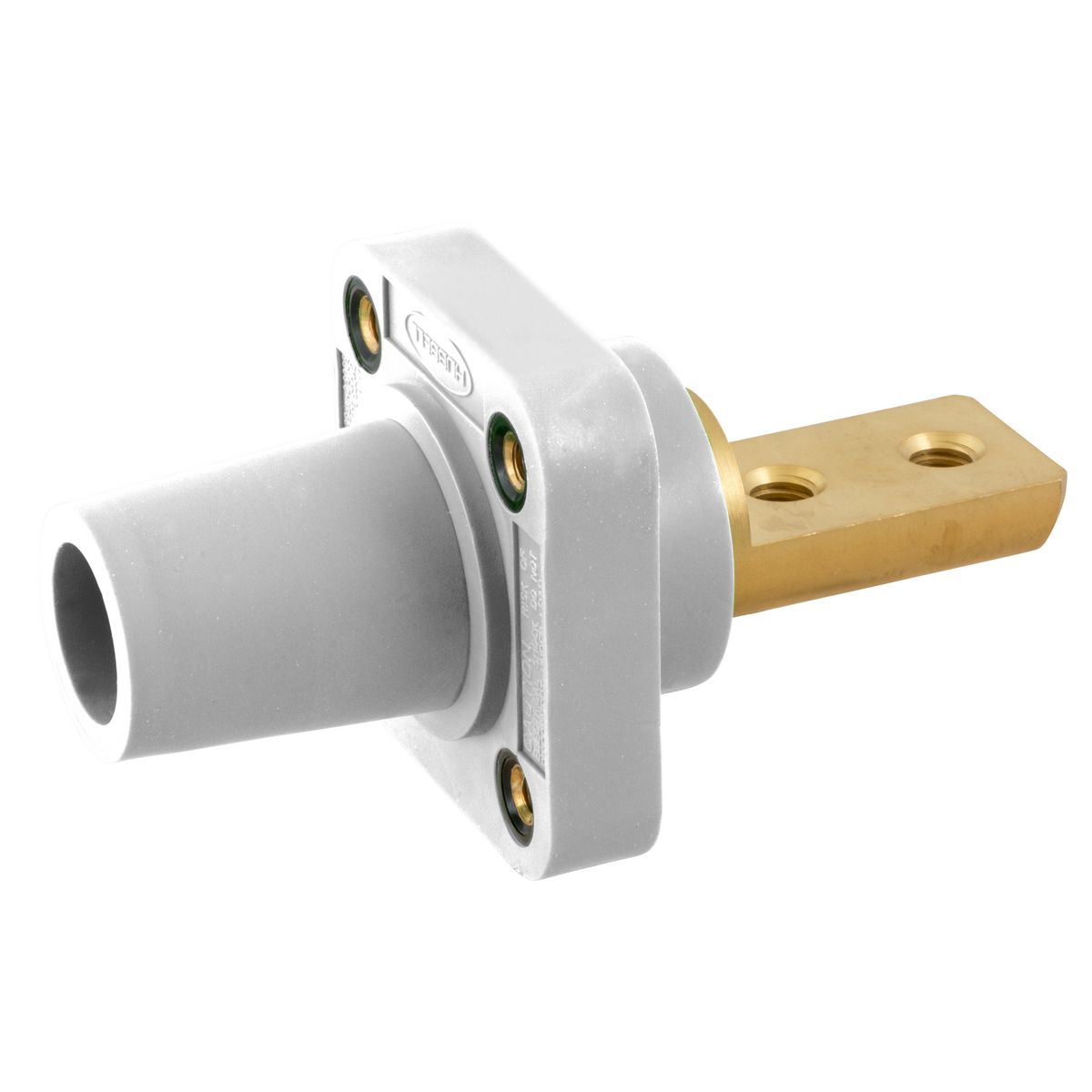 Hubbell Wiring Devices HBLFRB2W