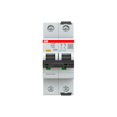 ABB S302P-B63