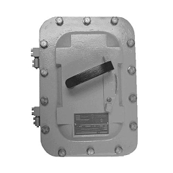 Appleton AEAB3036DS Disconnect Switch