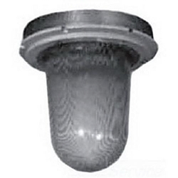 Appleton CGL400 2 Light Fixture Globe