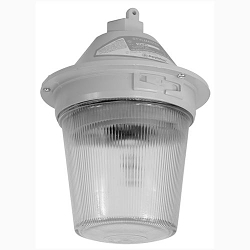Appleton VPAS75120ACRE Strobe Luminaire