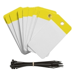 Brady 102010 Blank Tag