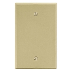 Hubbell P13I Non-Metallic Standard Blank Wall Plate with Pre-Inserted Captive Screw