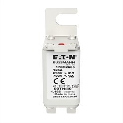 Bussmann 170M2665 High Speed Fuse