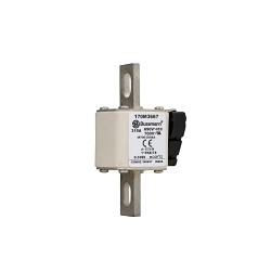 Bussmann 170M3667 High Speed Fuse