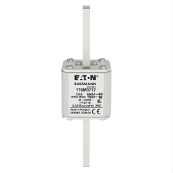 Bussmann 170M3717 High Speed Fuse