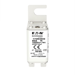 Bussmann 170M4809 High Speed Fuse