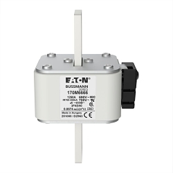 Bussmann 170M6666 High Speed Fuse