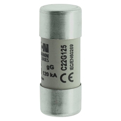 Bussmann C22G125 Cartridge Fuse