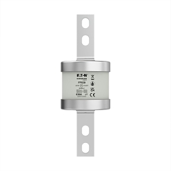 Bussmann FF630 Specialty Fuse