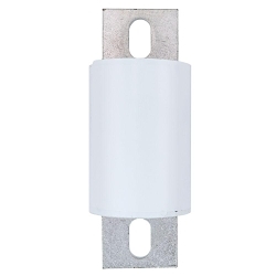 Bussmann FWP-250A High Speed Fuse