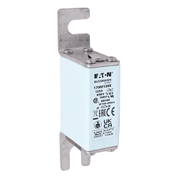 Bussmann 170M1368