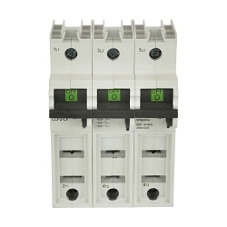 Bussmann CCP2-1-100CF
