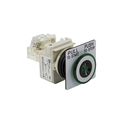 Square D 9001SKR9P1GH13 Harmony Illuminated Pushbutton