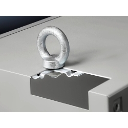 Rittal 2509010 Eyebolt