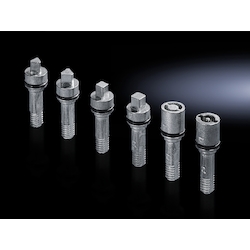 Rittal 2484000 Lock Insert