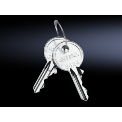 Rittal 2532000 Enclosure Key