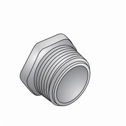 Appleton CNN100 Conduit Nipple