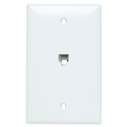 Legrand-Pass & Seymour TPTE1-W On-Q TradeMaster Combination Wall Plate