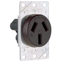 Legrand-Pass & Seymour 3890 Straight Blade Receptacle