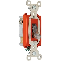 Legrand-Pass & Seymour PS20AC1-CPL Pilot Light Switch