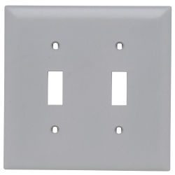 Legrand-Pass & Seymour TP2-GRY TradeMaster Standard Wallplate