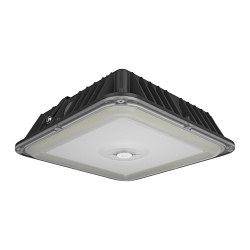 RAB VAN17-90 VAN17 Canopy Light, LED Lamp, 67.3 to 88.5 W Fixture, 120 to 277 V, Bronze Housing