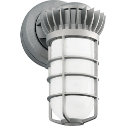 RAB LVAPOR VXBRLED26DG/PCS Outdoor Vaporproof Light Fixture With Frosted Globe/Aluminum Guard and 120 V AC Swivel Photocell, LED Lamp, 27 W Fixture, 120 V AC, Shot Blasted Housing