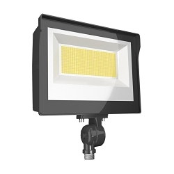 RAB X17FA60 X17 Adjustable Floodlight, LED Lamp, 60 W Fixture, 120, 208, 240, 277 V