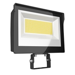 RAB X17XFU60T X17 Adjustable Floodlight Fixture, LED Lamp, 30 W Fixture, 120, 208, 240, 277 V, Bronze Housing