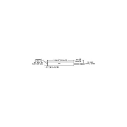 Red Lion MP37CA00 Magnetic Proximity Sensor, NPN Open Collector Contact, 180 rpm Switching Speed