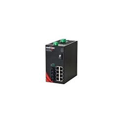Red Lion NT24K-10GX2-SC-PT