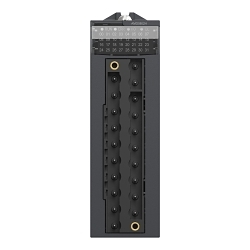 Schneider Electric BMXAMO0802H