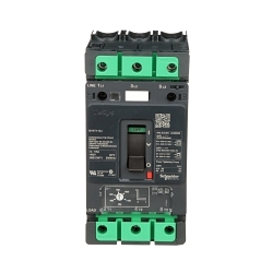 Schneider Electric BV4T115J