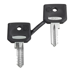 Schneider Electric ZBG3131A Replacement Key