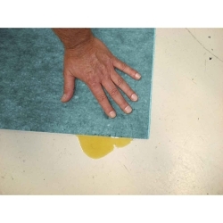 Brady RFDP328DP Plus Absorbent Roll