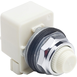 Square D 9001KP38LWW31 Harmony Pilot Light