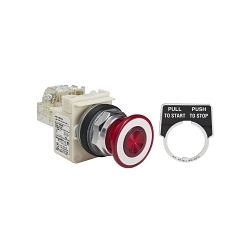 Square D 9001KR9P38LRRH13 Harmony Illuminated Pushbutton