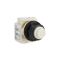 Square D 9001SKT38LWW9 Harmony Pilot Light