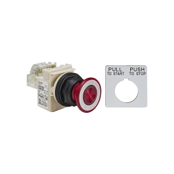 Schneider Electric 9001SKR9P1RH13 Harmony Illuminated Pushbutton