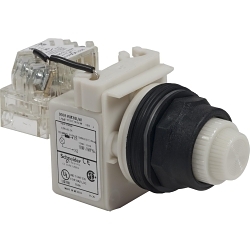 Square D 9001SKT38LW Harmony Pilot Light