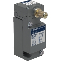 Telemecanique 9007C66B2S20 Rotary Lever Limit Switch