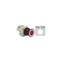 Square D 9001SKR9P35RH13 Illuminated Pushbutton