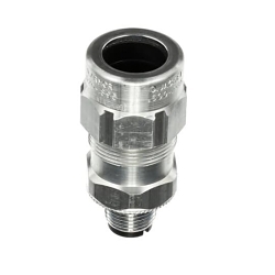 TKC118 コリントススターテル TKC118 コリントススターテルコイン