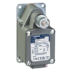 Telemecanique XCMD2116L1 Osisense Limit Switch