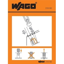 primary_image
