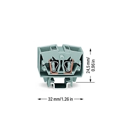 primary_image
