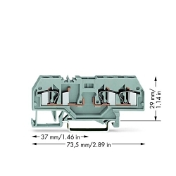 primary_image