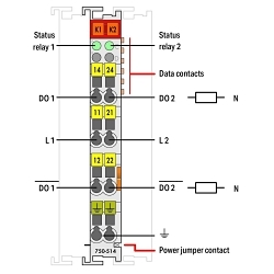 primary_image